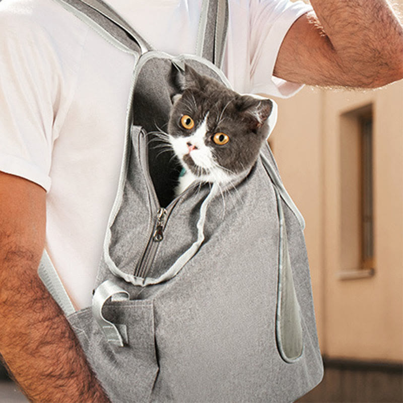 Pet Front Carrier Small Dog Cat Mesh Backpack with Safety Belt