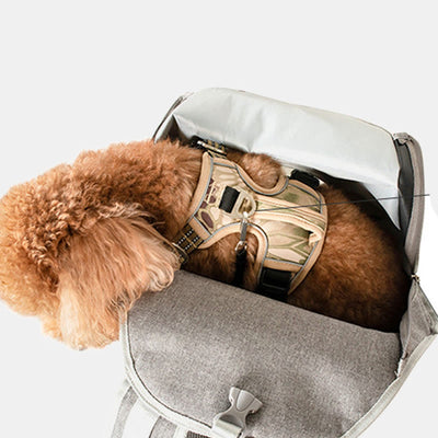 Pet Front Carrier Small Dog Cat Mesh Backpack with Safety Belt