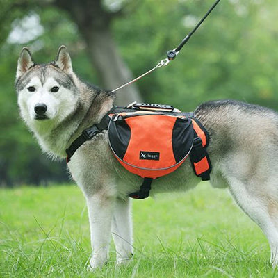 Outdoors Dog Backpack Y-Shaped Saddle Bag for Medium Large Dogs