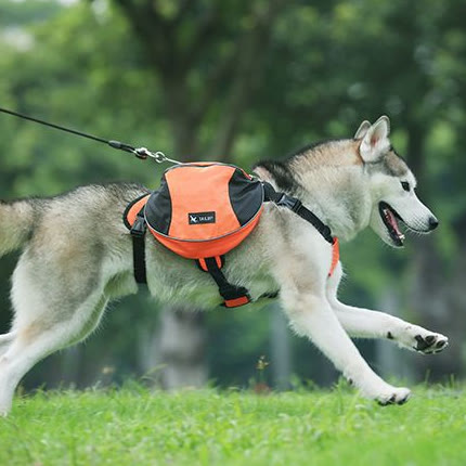 Outdoors Dog Backpack Y-Shaped Saddle Bag for Medium Large Dogs