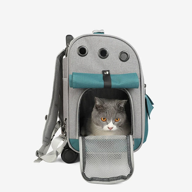 Portable Pet Carrier For Outdoor Large Breathable Oxford Cat Backpack