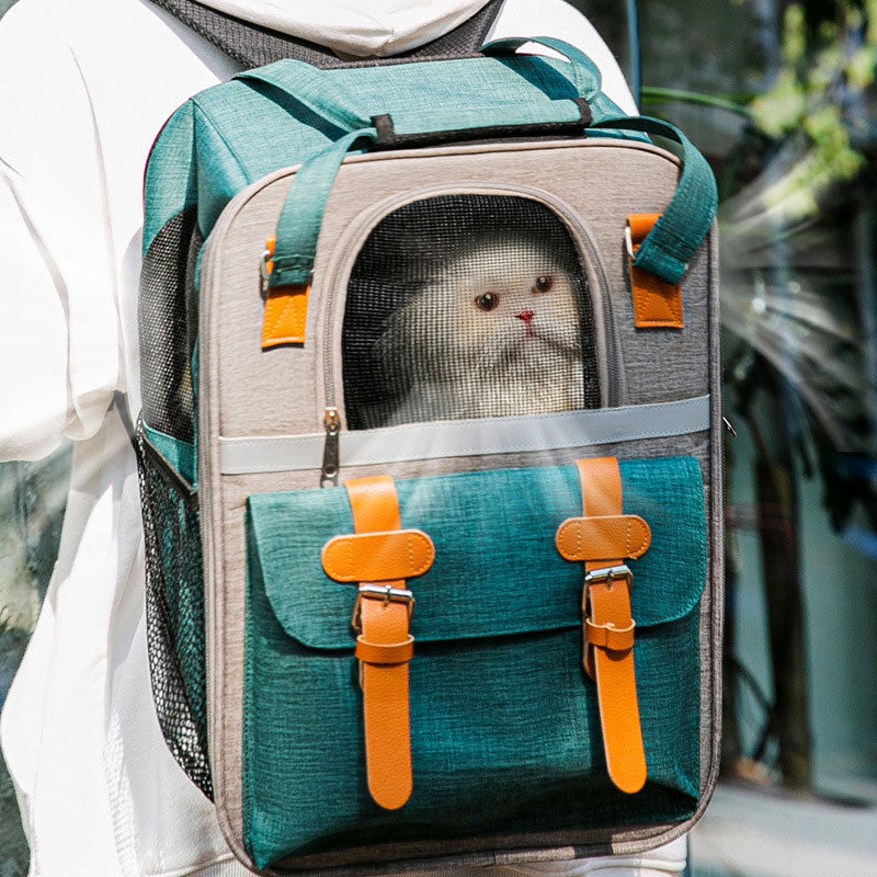 Pet Carrier Backpack Cats Bubble Backpack Fit Up To 20 lbs