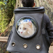 Spacious & Comfortable Cat Backpack