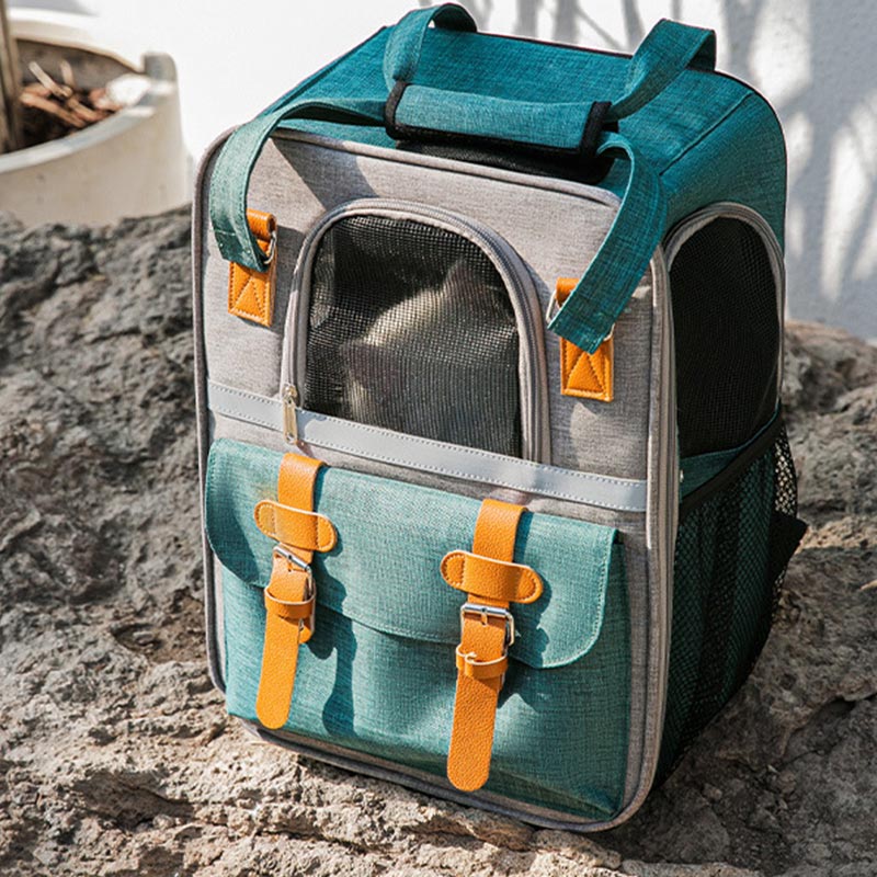 Pet Carrier Backpack Cats Bubble Backpack Fit Up To 20 lbs