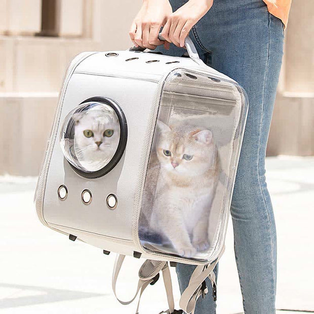 Pet Carrier Backpack Foldable Bubble Cats Puppies Carrier Transparent Space Capsule