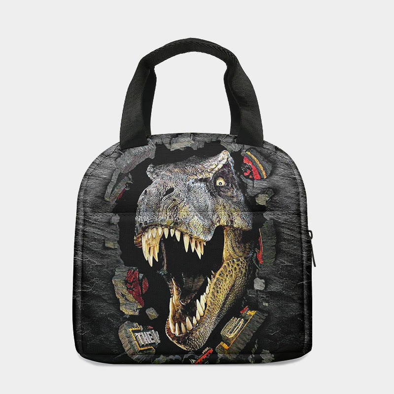 Lunch Bag For Kids School Camping Cartoon Dinosaur Thermal Handbag