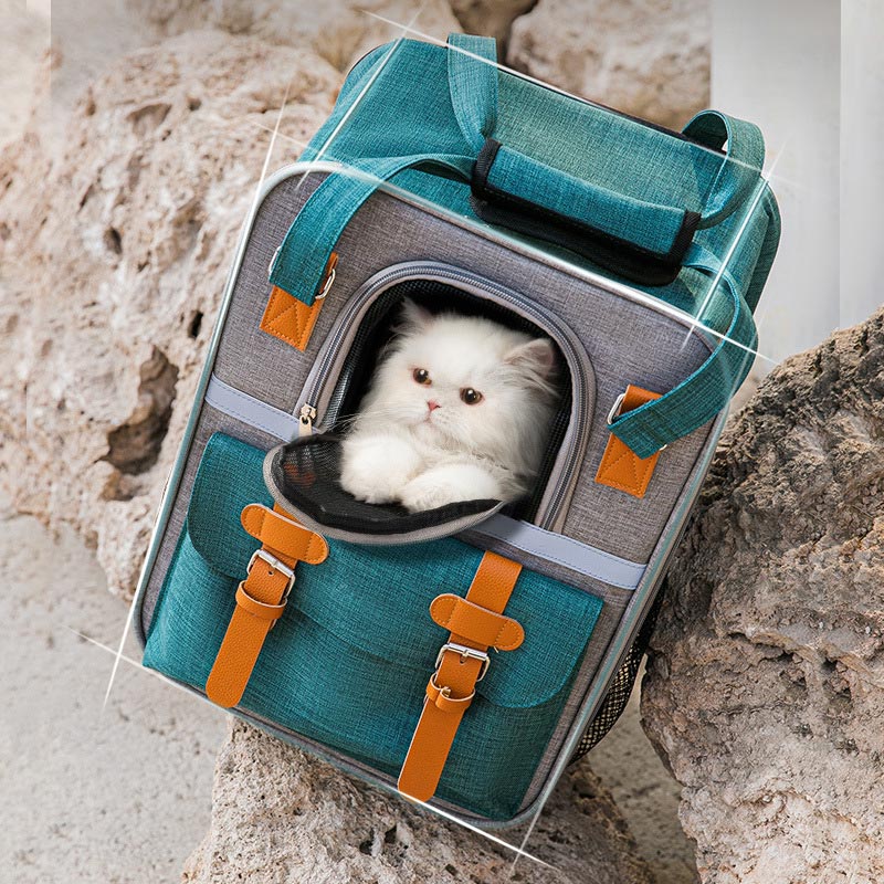 Pet Carrier Backpack Cats Bubble Backpack Fit Up To 20 lbs