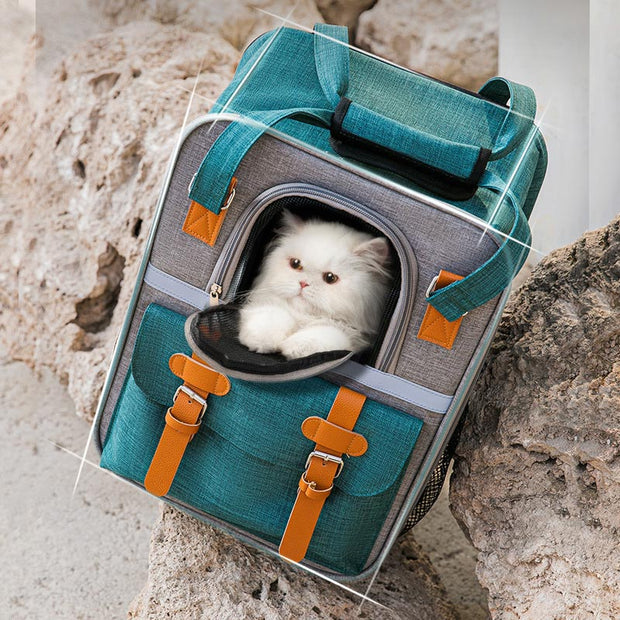 Pet Carrier Backpack Cats Bubble Backpack Fit Up To 20 lbs